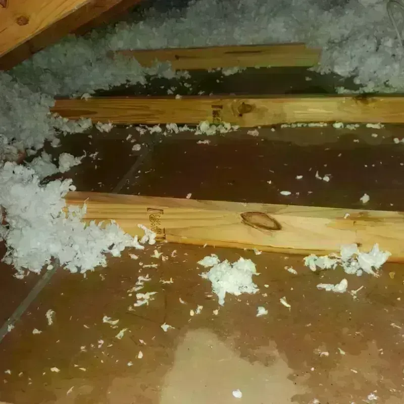 Attic Water Damage in Sharon, MA